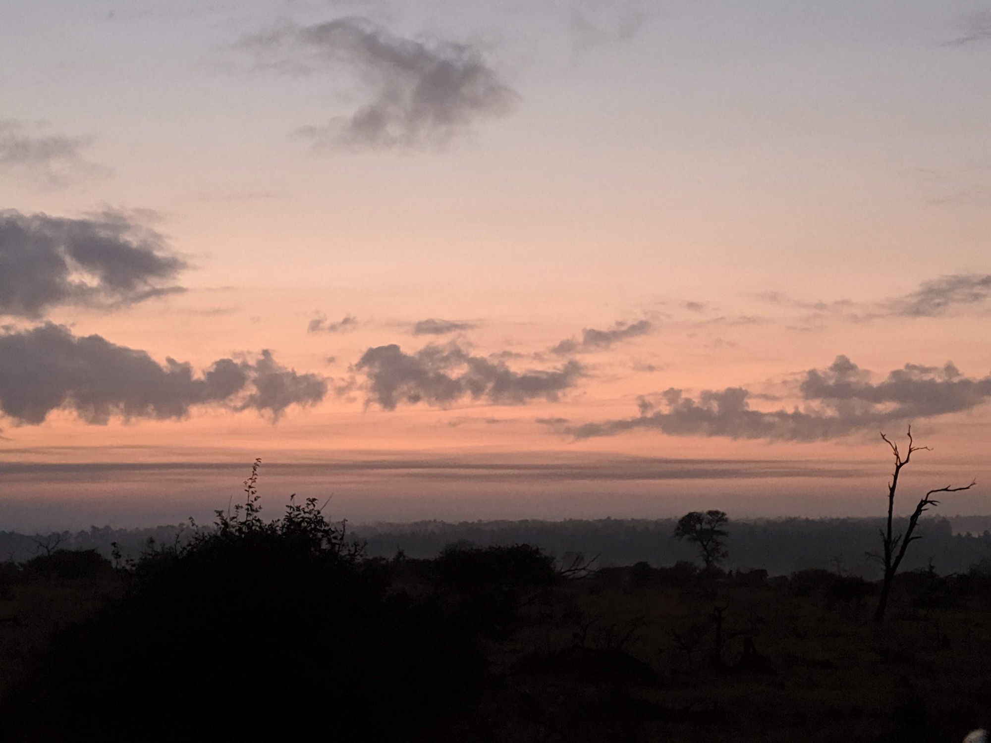 sunrise at Kruger National Park